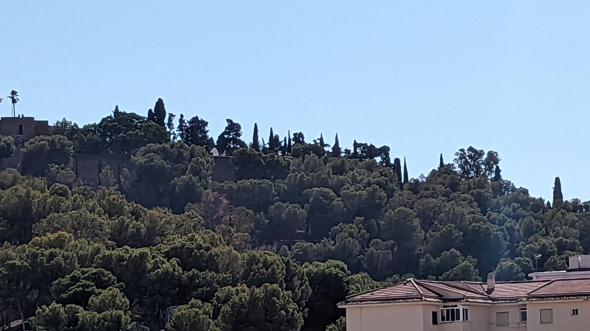 Casa Monte Victoria Málaga Dış mekan fotoğraf